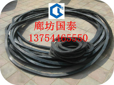 3米大型氟橡膠墊片